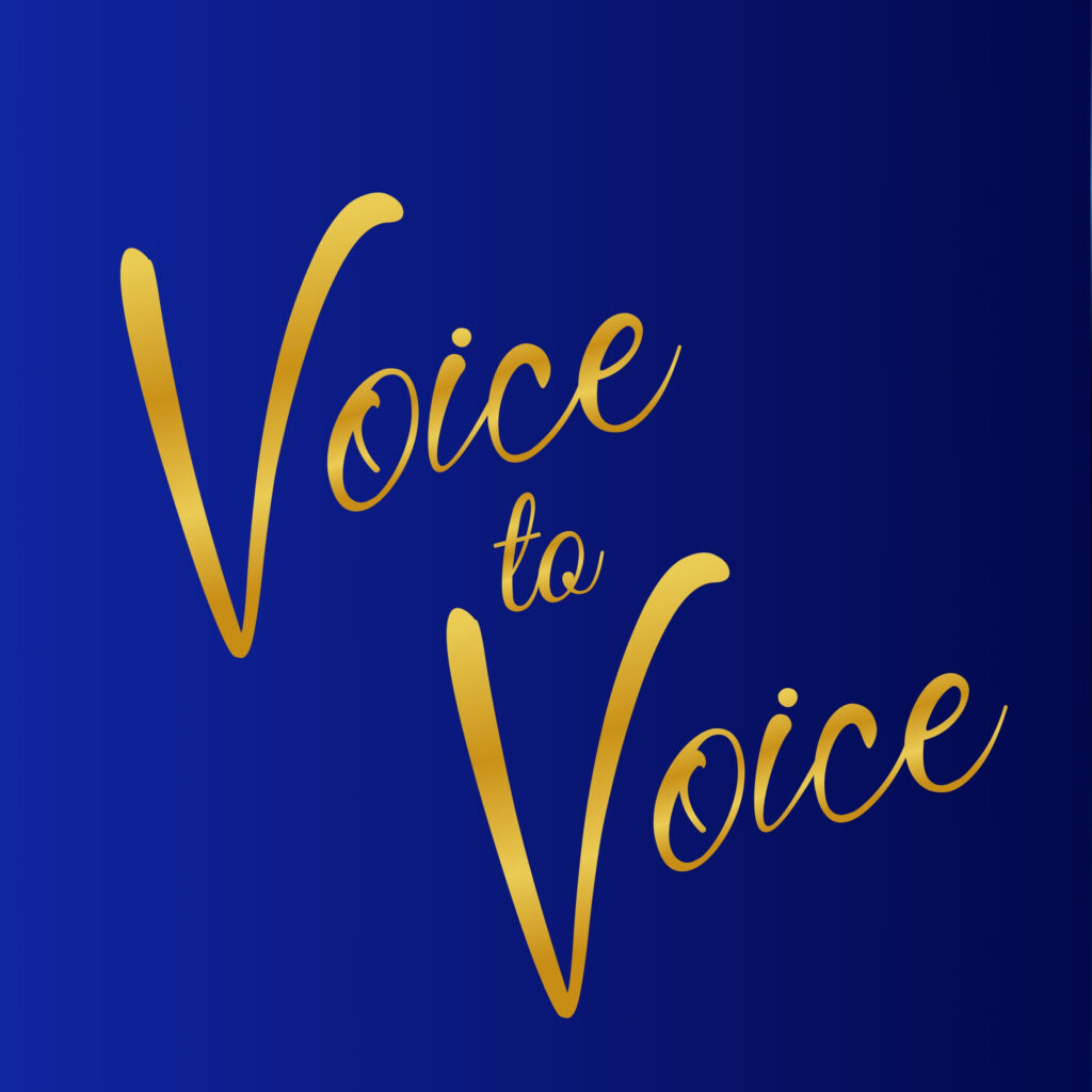 Voice to Voice